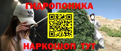 шишки Бузулук