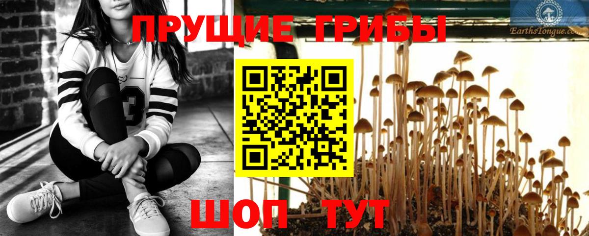 Галлюциногенные грибы мицелий  Галлюциногенные грибы Magic Shrooms  Нефтекамск 