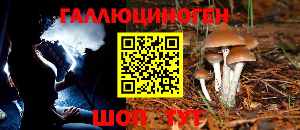 Нефтекамск  Галлюциногенные грибы Magic Shrooms  Вход с VPN 