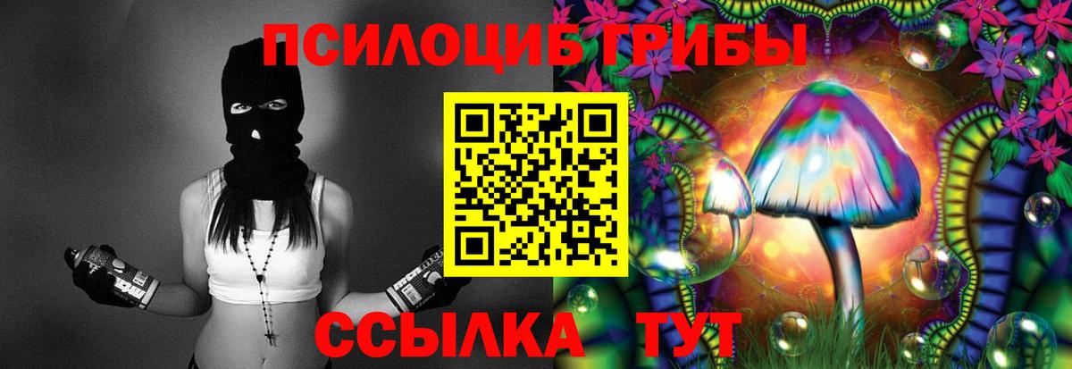 Псилоцибиновые грибы Psilocybe Нефтекамск